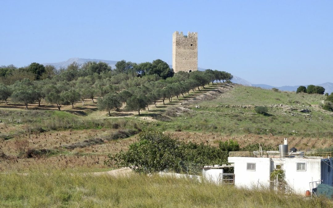 Ascendemos a la Torre Anthousa