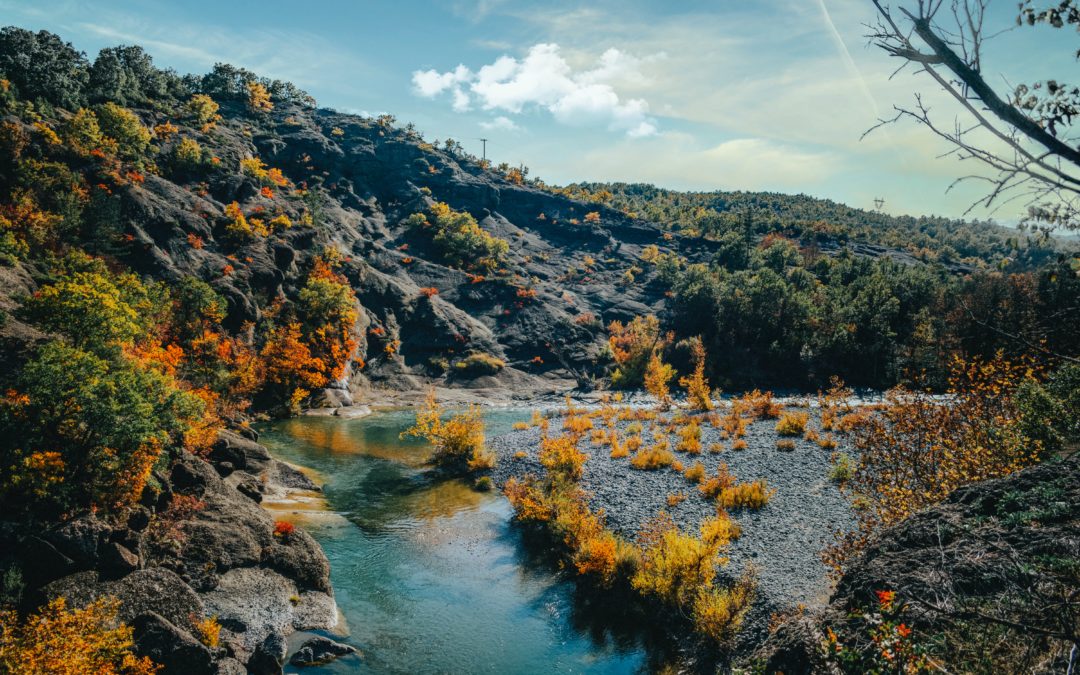 Grevena la ciudad griega de las setas