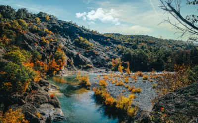 Grevena la ciudad griega de las setas